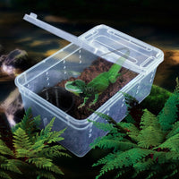 HKM-890963 Transparent Plastic Reptile Feeding Box for Transportation and Breeding