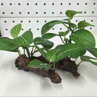 HKM-892115 Aquatic Plant Simulation Decoration for Fish Tanks – Shamrock Clover, Sunken Wood, and Elliptical Leaves