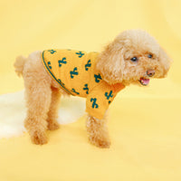 HKM-893011 Warm Thick Acrylic Sweater for Pets - Autumn & Winter Style in Turmeric Cactus, Multiple Sizes Available