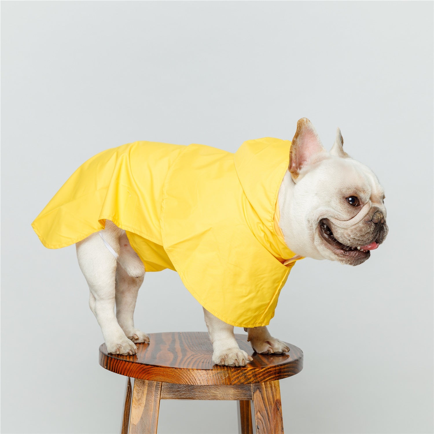 HKM-895507 Reflective Waterproof Raincoat for Dogs - Yellow or Gray, Sizes S to XXL