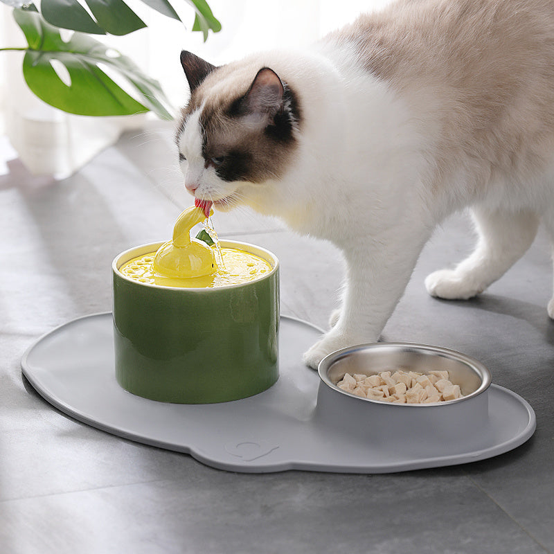 HKM-897811 Pet Waterer Dog Water Basin