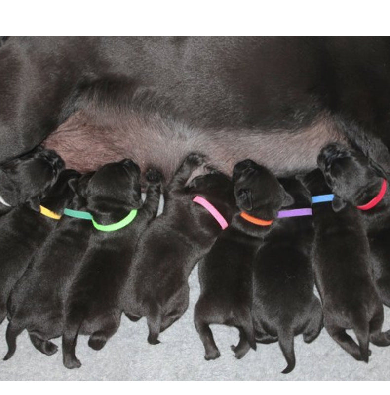 HKM-900051 Pet Simple Collar Velcro Identification Collar Kitten And Puppy ID Collar