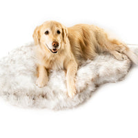 HKM-903571 Cozy Plush Pet Blanket for Sofa and Bed, Soft and Durable, Multiple Sizes Available