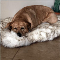 HKM-903571 Cozy Plush Pet Blanket for Sofa and Bed, Soft and Durable, Multiple Sizes Available