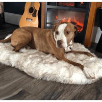 HKM-903571 Cozy Plush Pet Blanket for Sofa and Bed, Soft and Durable, Multiple Sizes Available