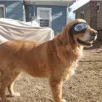 HKM-904467 Comfortable Waterproof Pet Goggles for German Shepherds - Soft Frame Sunglasses for Dogs