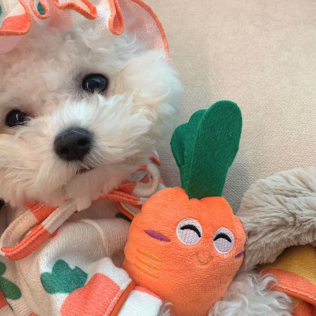 HKM-907731 Plush Carrot Sound Toy for Dogs - Soft and Interactive Plush Design