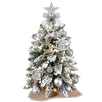 HKM-907859 2ft Mini Christmas Tree with Lights and Flocked Snow for Tabletop Decoration