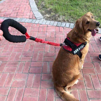 HKM-908051 Elastic Retractable Dog Leash - Explosion-Proof Nylon - Adjustable Lengths 80-120cm & 130-185cm