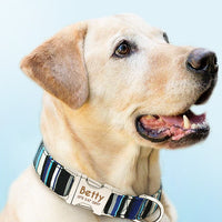 HKM-908115 Full Reflection Nylon Braided Dog Leash - 1.5m Traction Rope for Medium-Sized Dogs in Various Colors