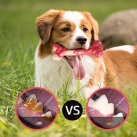 HKM-910995 Large Dog Molar Rubber Chew Toy - Durable Bite Resistant Bone for Teeth Grinding and Fun