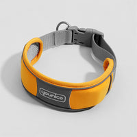 HKM-911251 Cute Dog Collar Leash Explosion-proof And Anti-off