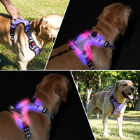 HKM-914195 LED Luminous Pet Chest Strap - Adjustable & Rechargeable, Available in Multiple Colors