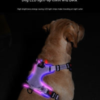 HKM-914195 LED Luminous Pet Chest Strap - Adjustable & Rechargeable, Available in Multiple Colors