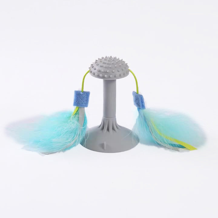 HKM-914451 Pet Toys Relaxation Double Haired Prick Head Suction Cup Cat Toy Plastic Grinding Teeth Cat Toy Cat Toy Wand