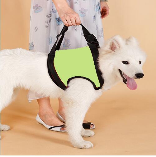HKM-914835 Supportive Harness Strap for Elderly or Disabled Golden Retrievers - Adjustable Neoprene Pet Accessory