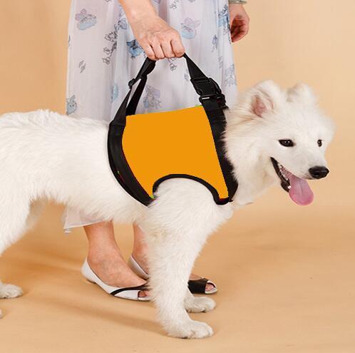 HKM-914835 Supportive Harness Strap for Elderly or Disabled Golden Retrievers - Adjustable Neoprene Pet Accessory