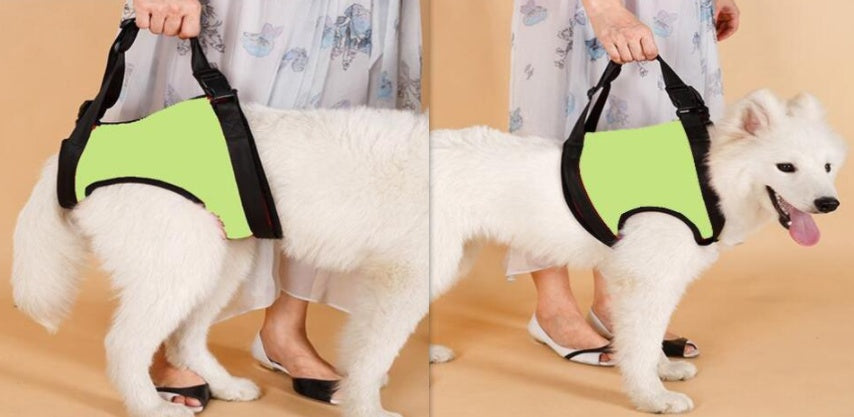 HKM-914835 Supportive Harness Strap for Elderly or Disabled Golden Retrievers - Adjustable Neoprene Pet Accessory