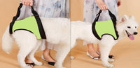 HKM-914835 Supportive Harness Strap for Elderly or Disabled Golden Retrievers - Adjustable Neoprene Pet Accessory