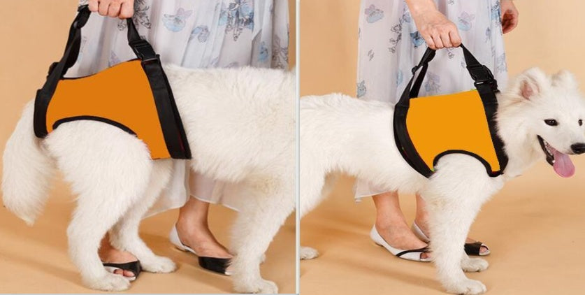 HKM-914835 Supportive Harness Strap for Elderly or Disabled Golden Retrievers - Adjustable Neoprene Pet Accessory