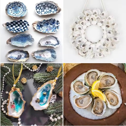 HKM-914963 30 Natural Oyster Shells with Pearl for DIY Arts and Crafts Decor, 2-2.5 Inches