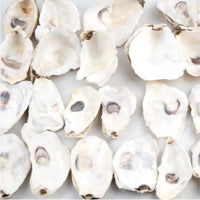HKM-914963 30 Natural Oyster Shells with Pearl for DIY Arts and Crafts Decor, 2-2.5 Inches