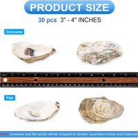 HKM-914963 30 Natural Oyster Shells with Pearl for DIY Arts and Crafts Decor, 2-2.5 Inches