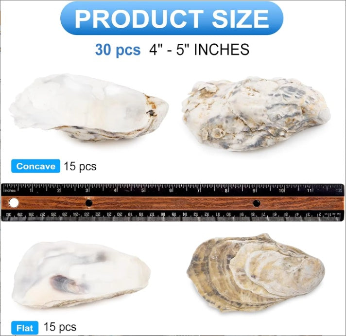 HKM-914963 30 Natural Oyster Shells with Pearl for DIY Arts and Crafts Decor, 2-2.5 Inches
