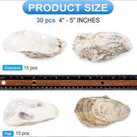 HKM-914963 30 Natural Oyster Shells with Pearl for DIY Arts and Crafts Decor, 2-2.5 Inches