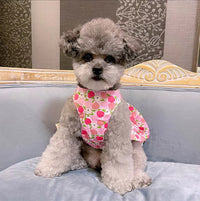 HKM-915731 Dog Cotton Skirt with Hand Rope in Blue and White Color Options