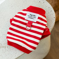 HKM-916819 Striped Thin Velvet Sweater for Small Dogs - Casual Pet Clothing in Black or Red