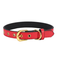 HKM-917011 Plain Pet Collar Gold Buckle PU