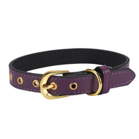 HKM-917011 Plain Pet Collar Gold Buckle PU