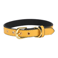HKM-917011 Plain Pet Collar Gold Buckle PU