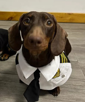 HKM-917459 Dachshund Halloween Costume - Funny Dog Clothes with Captain and Pilot Designs