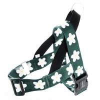 HKM-918803 Nylon Leash with Adjustable Collar and Harness for Golden Retrievers and Labradors