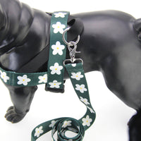 HKM-918803 Nylon Leash with Adjustable Collar and Harness for Golden Retrievers and Labradors