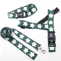 HKM-918803 Nylon Leash with Adjustable Collar and Harness for Golden Retrievers and Labradors