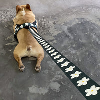 HKM-918803 Nylon Leash with Adjustable Collar and Harness for Golden Retrievers and Labradors