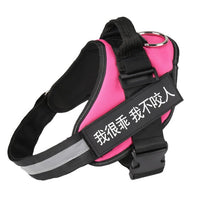HKM-919443 Adjustable Nylon Pet Chest Harness and Traction Rope for Medium to Large Dogs