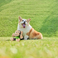 HKM-919635 Plush Squeaky Monkey Dog Toy for Small to Medium Dogs - Soft, Durable, and Engaging Chew Toy