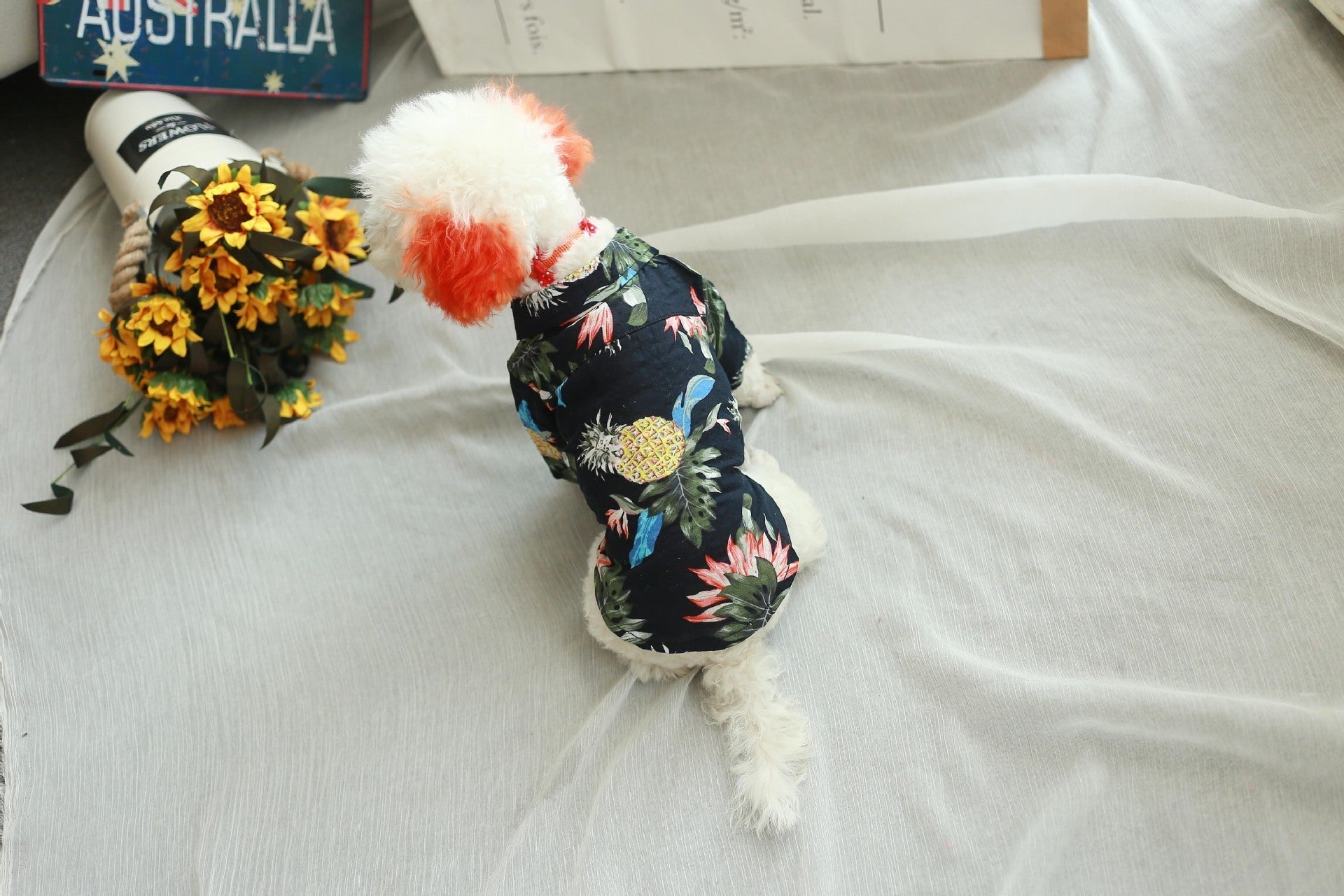 HKM-920275 Stylish Cotton Dog Shirt in Wine Red, Black, and White Designs