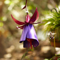 HKM-920851 Sensation Pink Coneflower Metal Bird Feeder for Garden Decoration