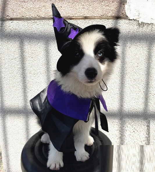 HKM-922643 Pet Halloween Wizard Cloak and Hat Set for Cats and Small to Medium Dogs