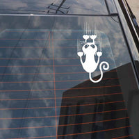 HKM-925139 Funny Cat Reflective Car Stickers - 15x7.5CM Decals for Doors, Windows, and Trunks in Black & White