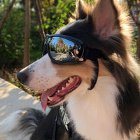HKM-925203 Waterproof UV Protection Goggles for Large Dogs - Durable PVC Frame and PC Lenses