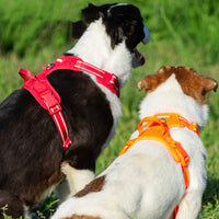 HKM-925395 Adjustable Wool Vest with Chest Strap for Dogs - Available in Orange, Red, Black, Sizes XS to XL