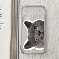 HKM-925459 Transparent Cat Print Protective Phone Case for Apple iPhone Models