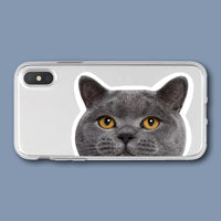 HKM-925459 Transparent Cat Print Protective Phone Case for Apple iPhone Models