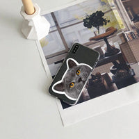 HKM-925459 Transparent Cat Print Protective Phone Case for Apple iPhone Models